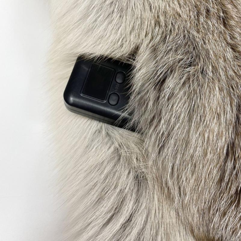 Coat With A Shawl Collar Made Of Whole Golden Island Fox Fur - Janefur