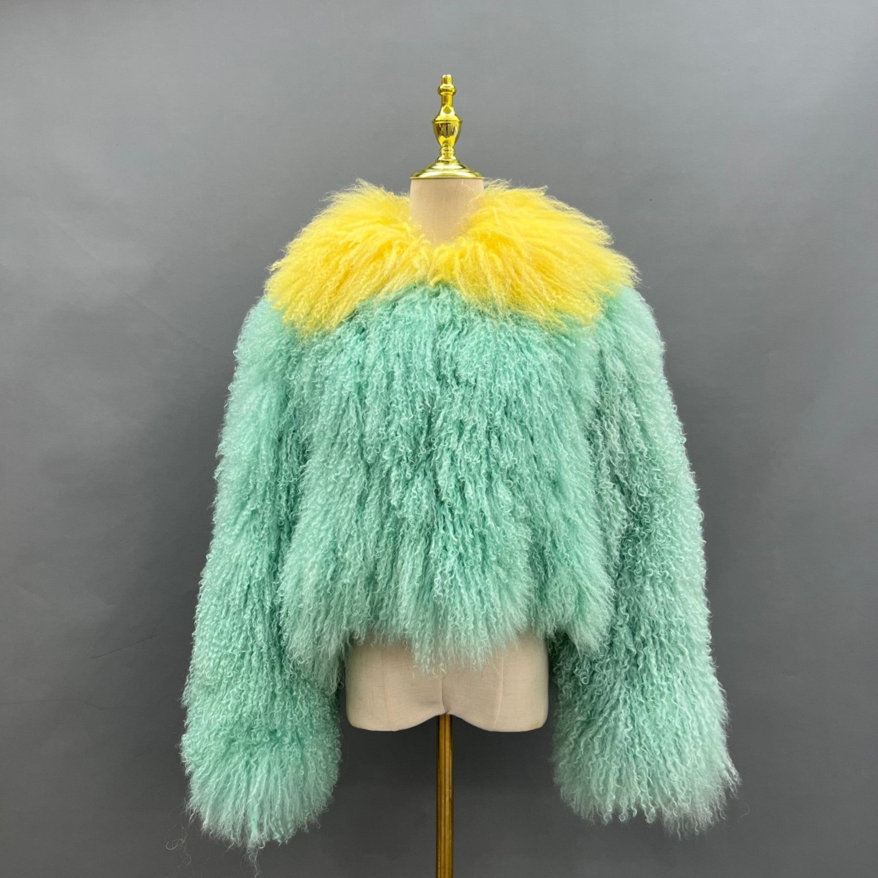 Women's New Colorful Lamb Fur Short Jacket - Janefur